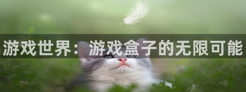 杏鑫主管：游戏世界：游戏盒子的无限可能
