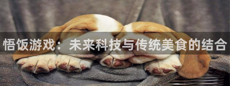 杏鑫代理注册登录：悟饭游戏：未来科技与传统美食的结合
