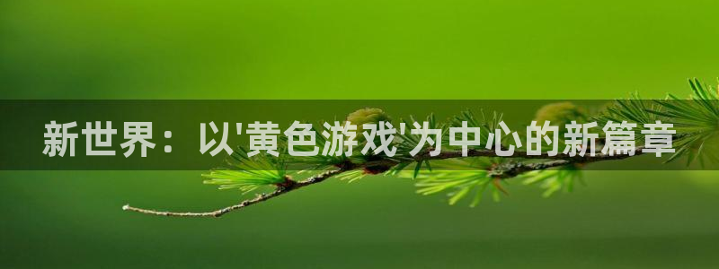 杏鑫代理登录：新世界：以\'黄色游戏\'为中心的新篇章