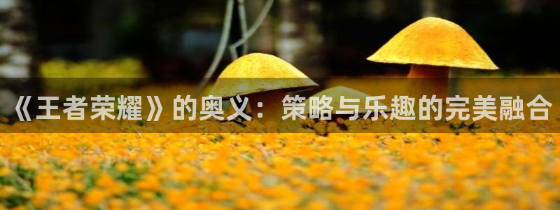 杏鑫注册登录代理公司：《王者荣耀》的奥义：策略与乐趣的完美融