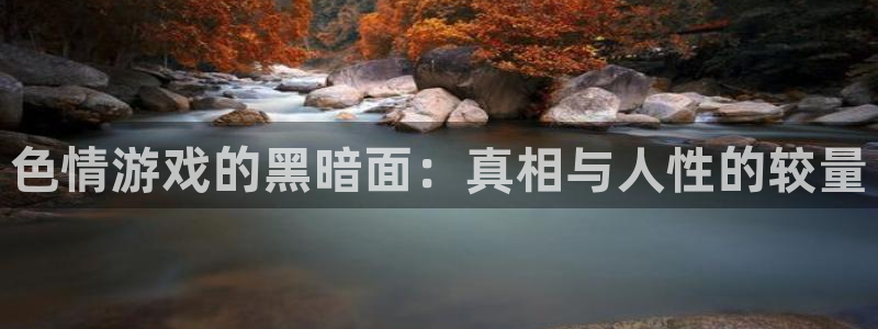 杏鑫有亏损返点吗：色情游戏的黑暗面：真相与人性的较量