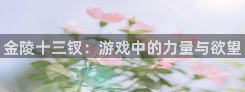 杏鑫官网：金陵十三钗：游戏中的力量与欲望