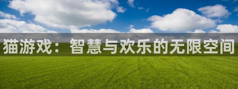 杏鑫娱乐：猫游戏：智慧与欢乐的无限空间