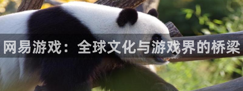 杏鑫平台正规吗是真的吗：网易游戏：全球文化与游戏界的桥梁